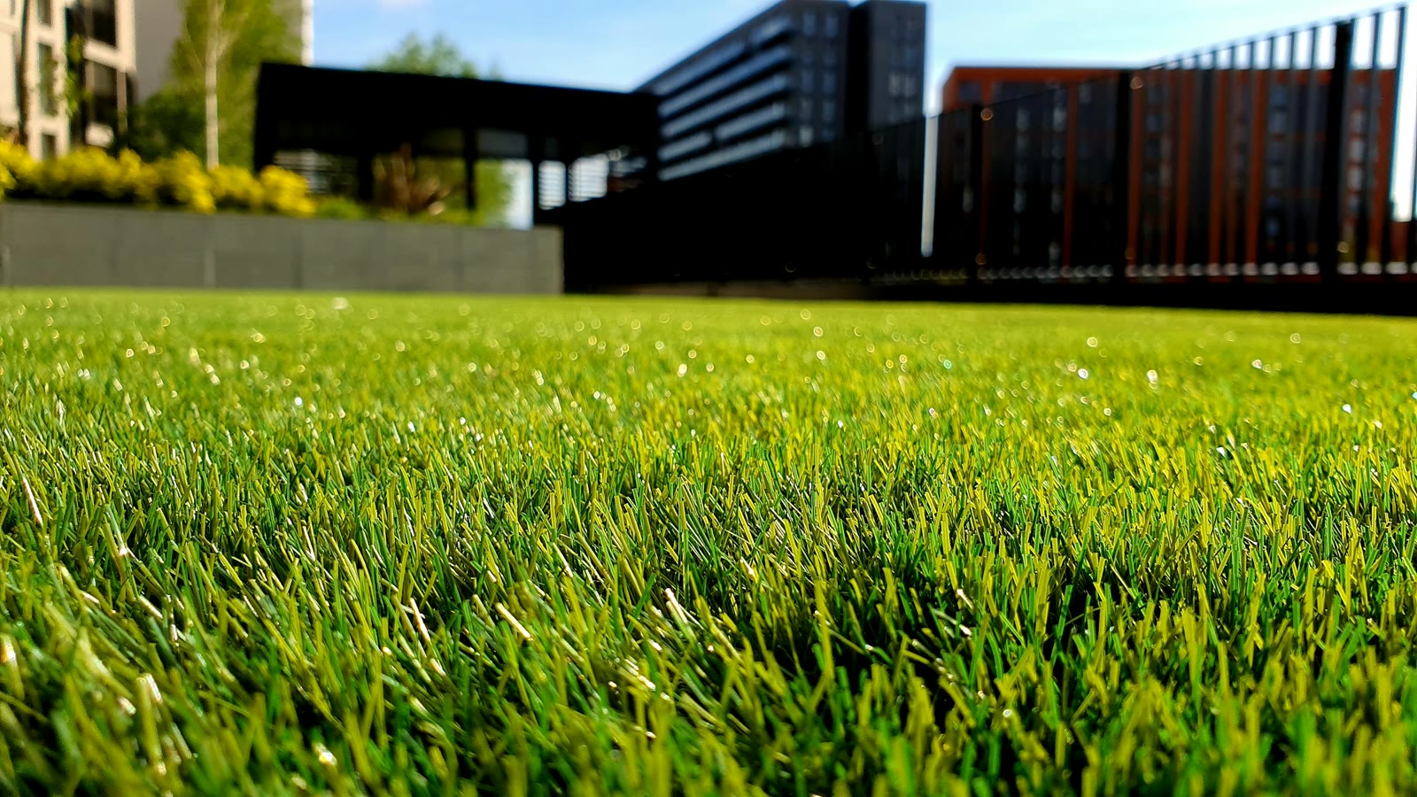 A freshly cut green lawn with shrubs and a pale sky