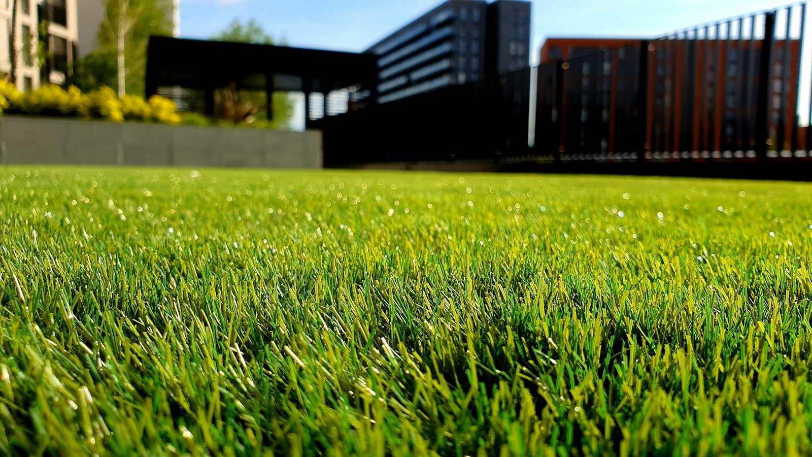 Even green lawn used as the after sample